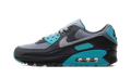 "Dusty Cactus" Air Max 90 DM0029 013 - product image from the listing.