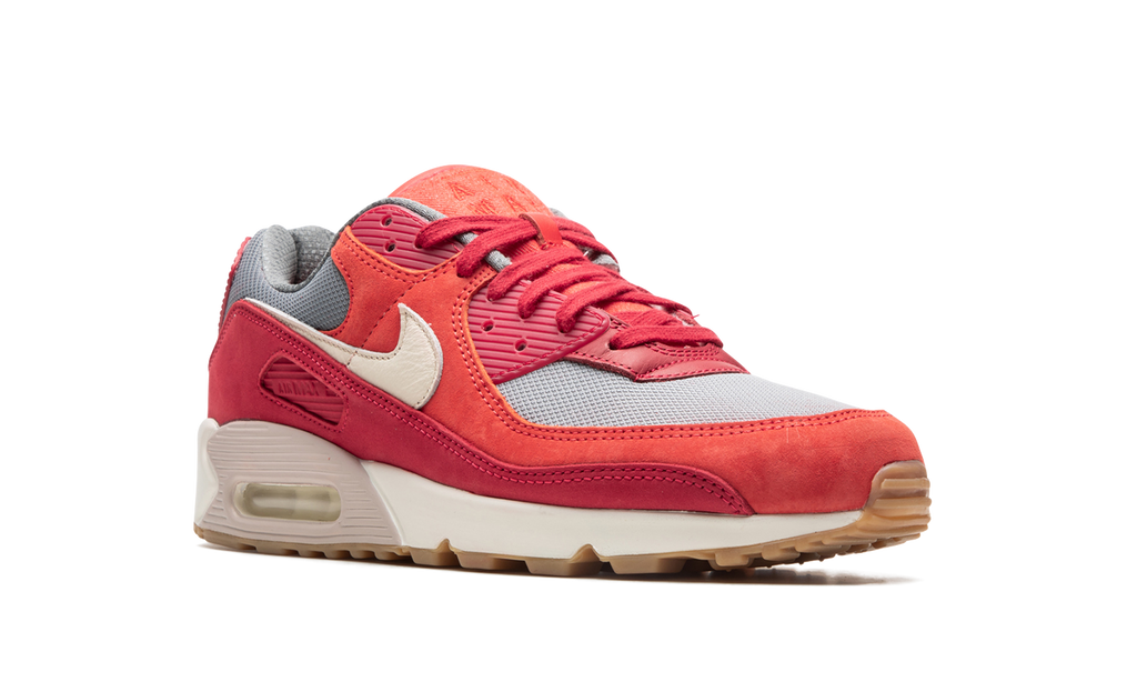 "Gym Red" Air Max 90 PRM DH4621 600 - product image from the listing.