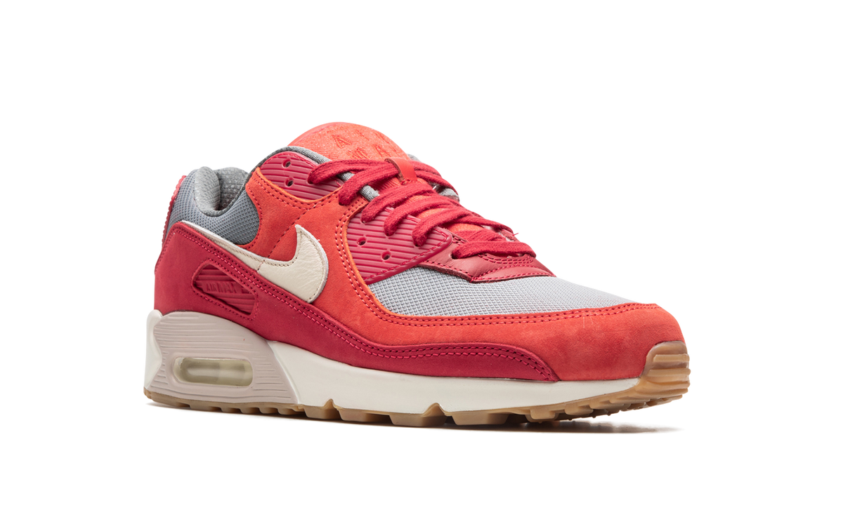 "Gym Red" Air Max 90 PRM DH4621 600 - product image from the listing.
