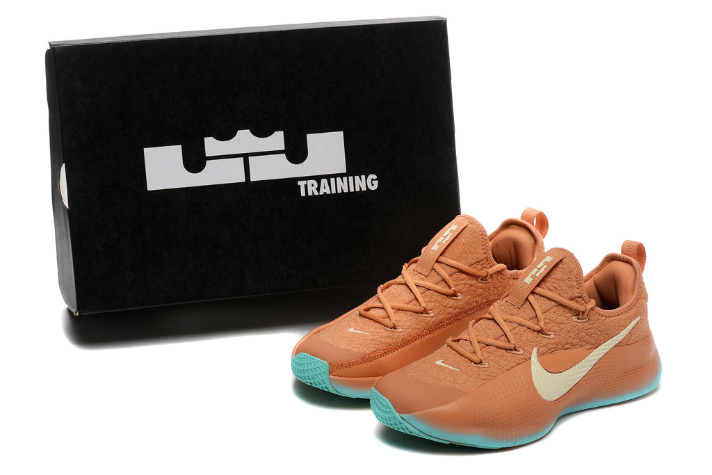 Nike LeBron Training Shoes in Rust and in Teal - product image from the listing.