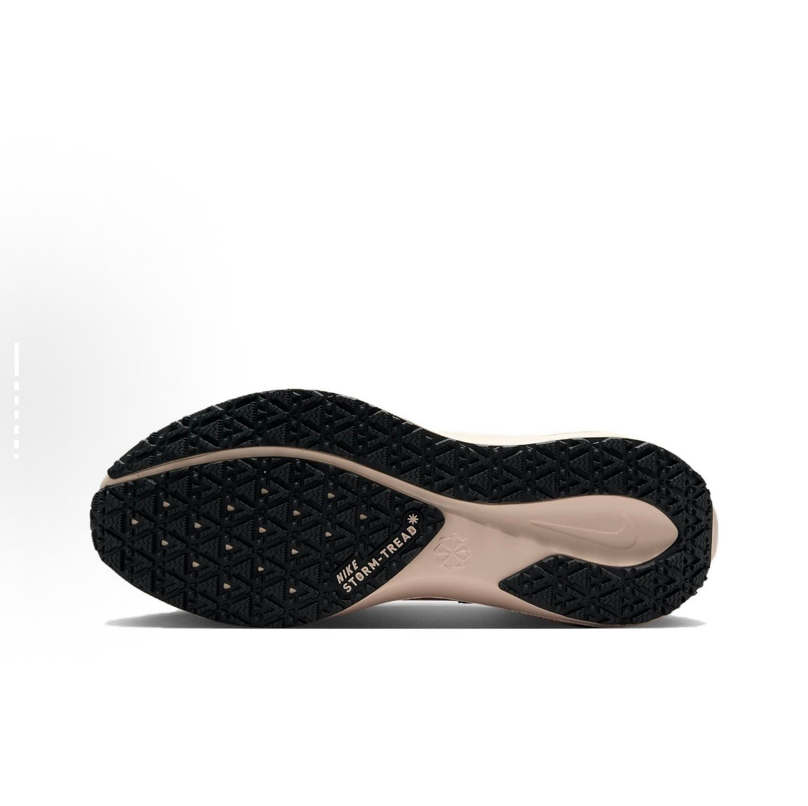 Nike Pegasus 41 GORE-TEX Shoes for Running FQ1357-100 - product image from the listing.
