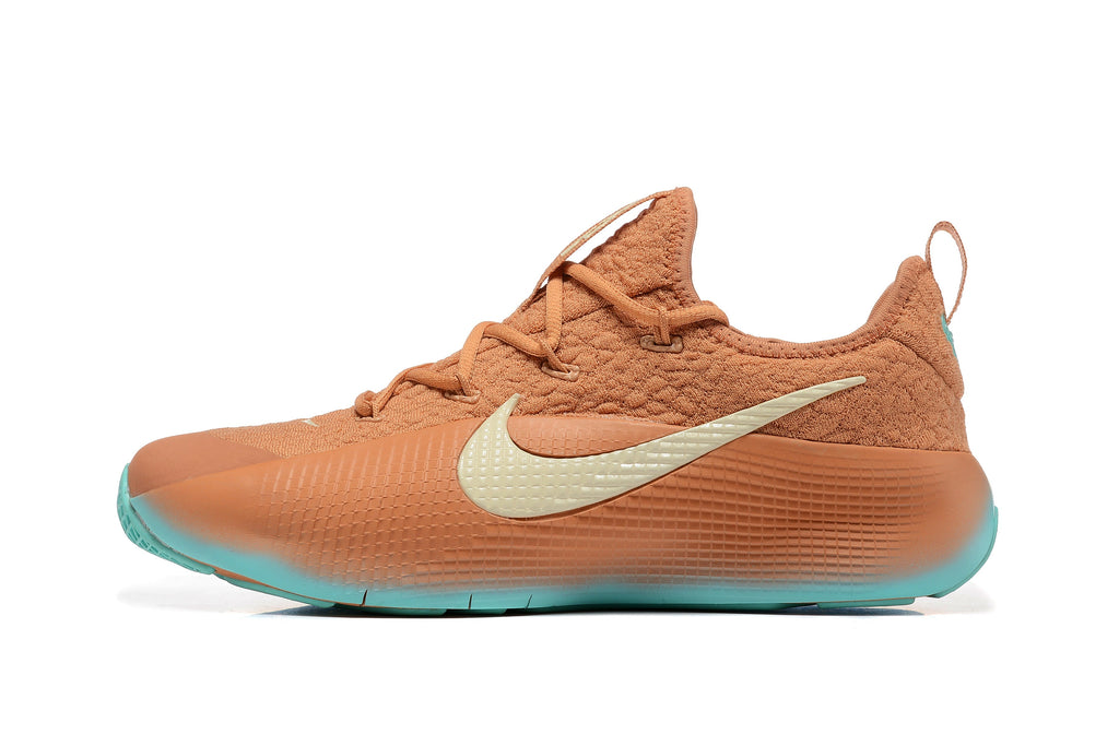 Nike LeBron Training Shoes in Rust and in Teal - product image from the listing.