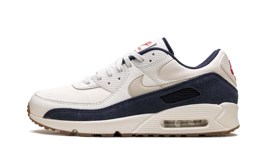 "Rare Air - Pale Ivory" Air Max 90 IH4379 110 - product image from the listing.