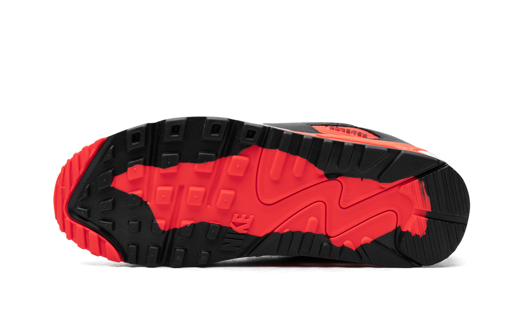 "Infrared" Air Max 90 Gore-Tex FD5810 101 - product image from the listing.