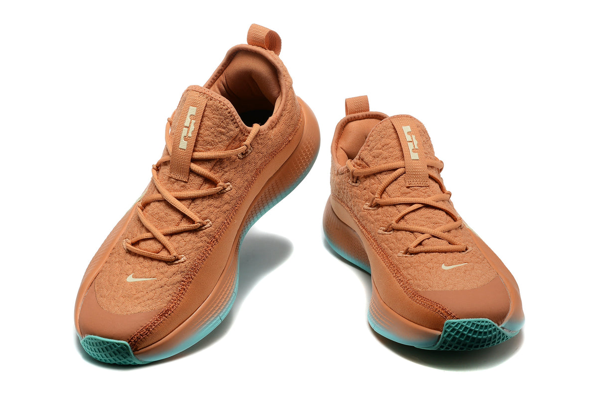 Nike LeBron Training Shoes in Rust and in Teal - product image from the listing.