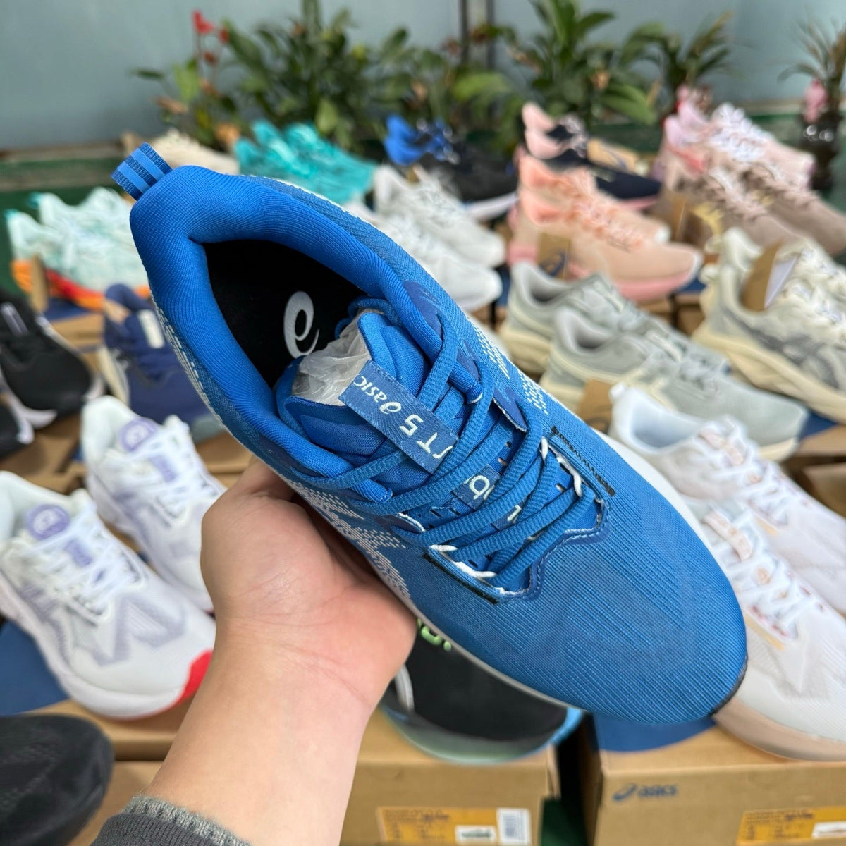 ASICS Novablast 5 LE Running Shoes in Blue 1011B974-403 - product image from the listing.