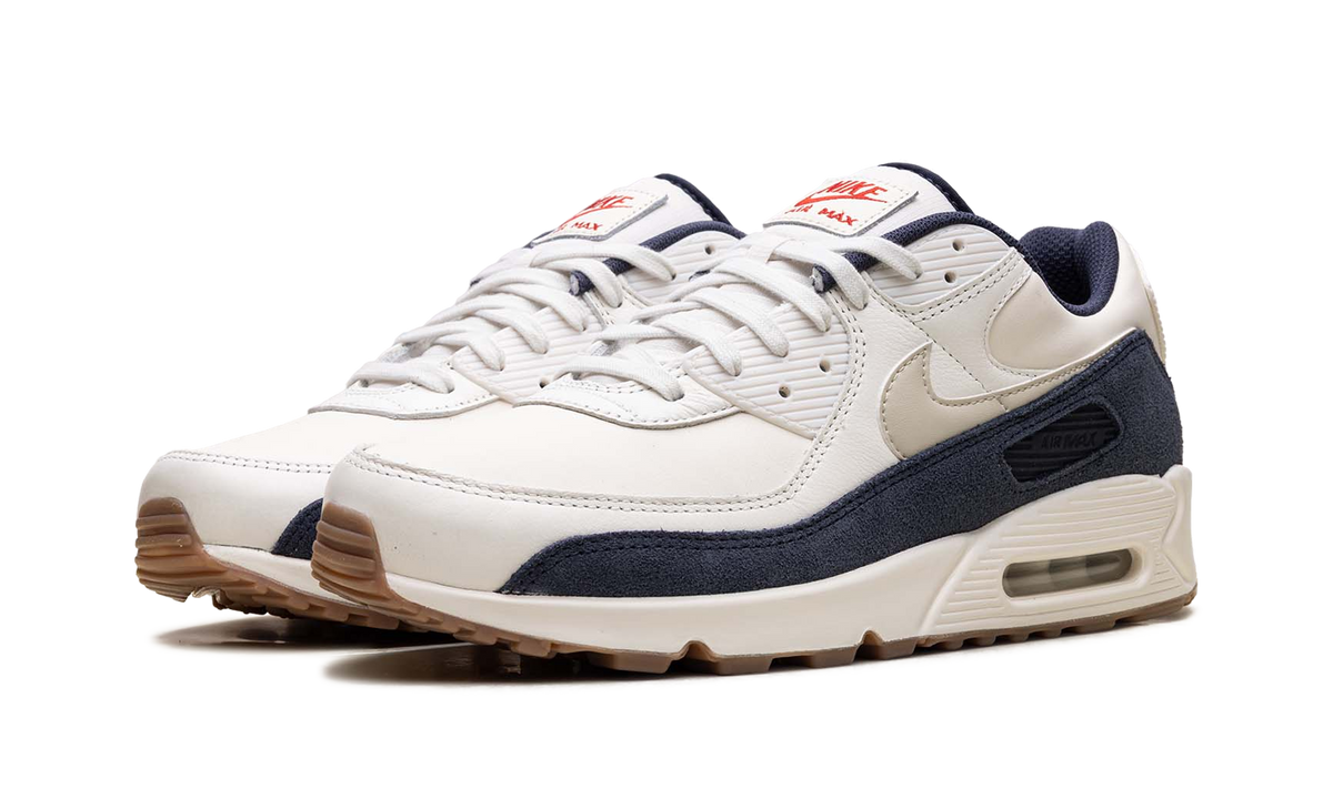 "Rare Air - Pale Ivory" Air Max 90 IH4379 110 - product image from the listing.