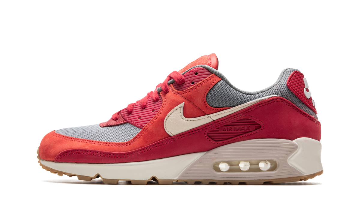 "Gym Red" Air Max 90 PRM DH4621 600 - product image from the listing.