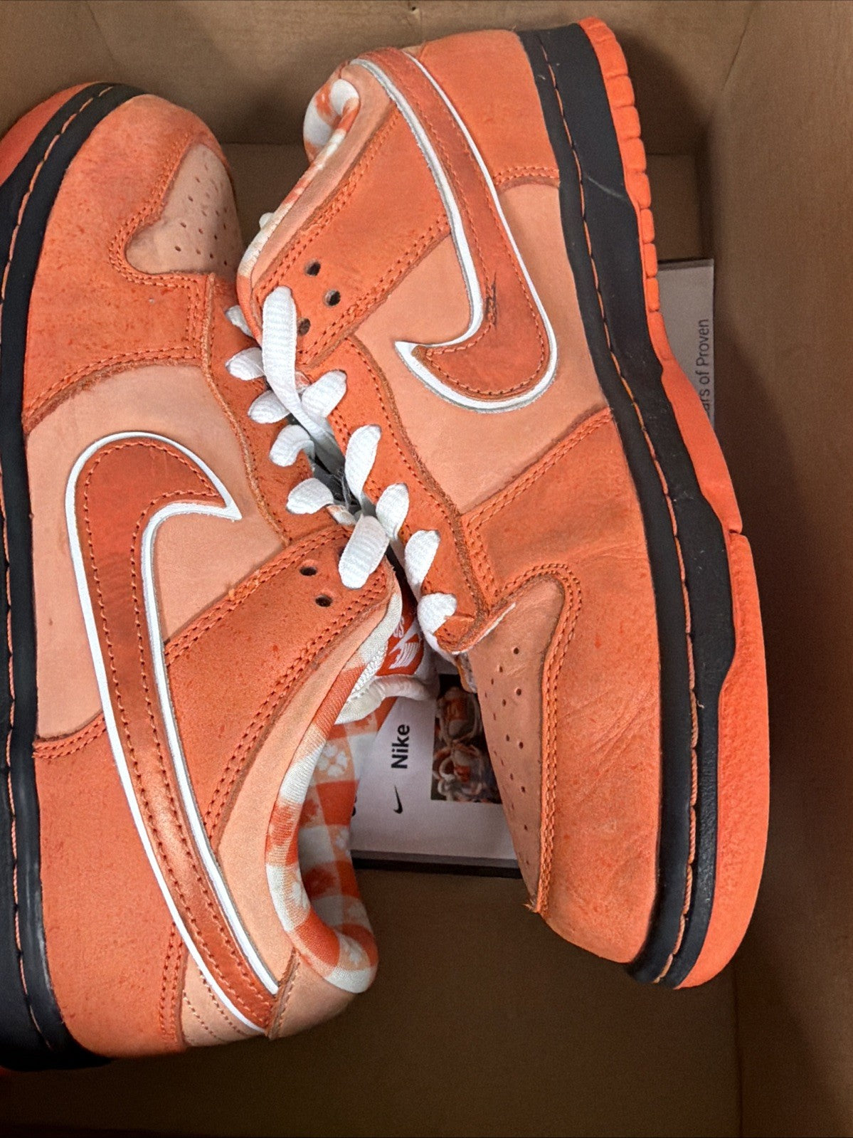 PREOWNED Nike SB Dunk Low Orange Lobster Size 10 - product image from the listing.