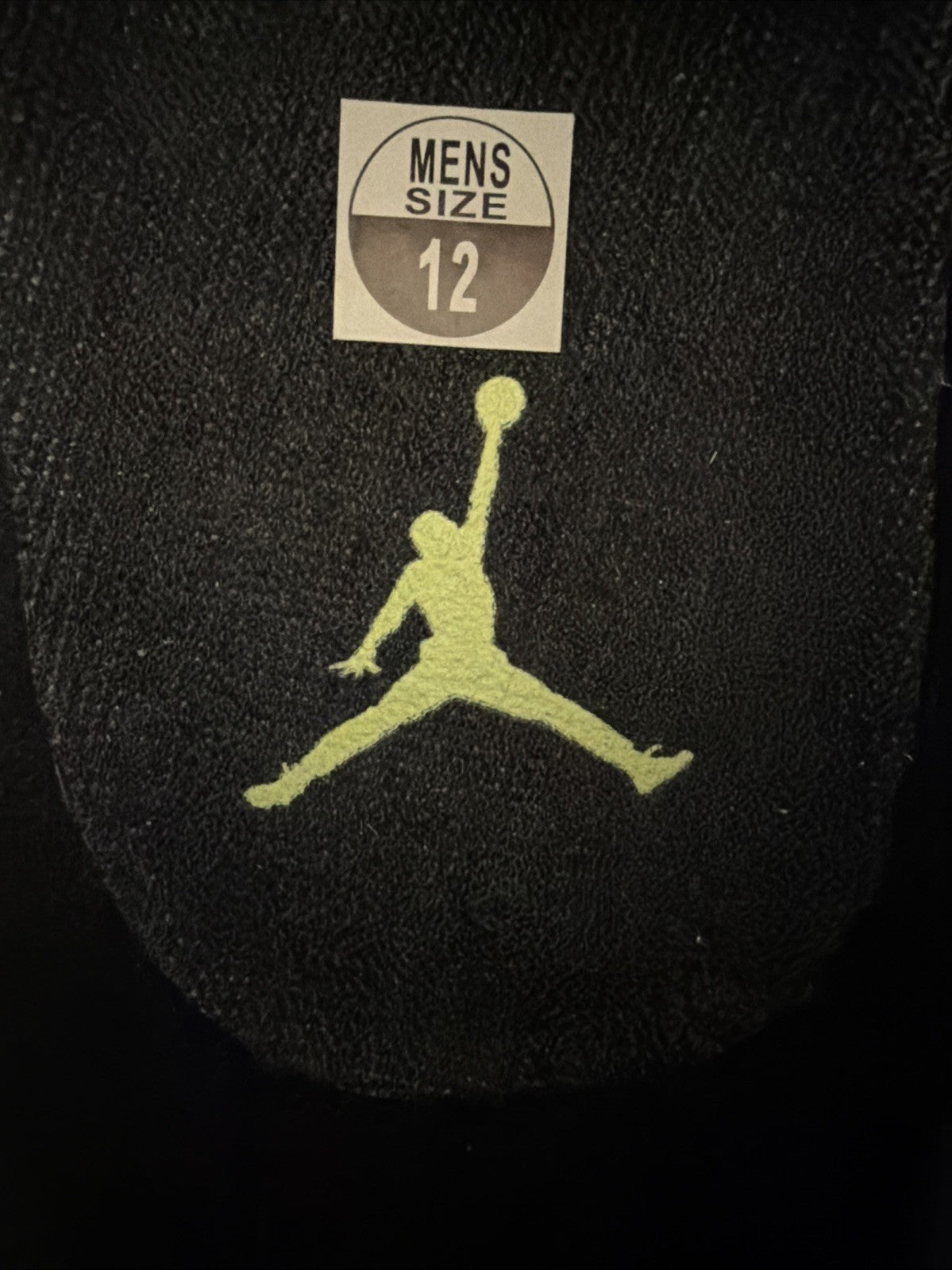 Men's Jordan 11 Low Snakeskin Size 12 Green Black Snakeskin - product image from the listing.