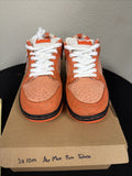 PREOWNED Nike SB Dunk Low Orange Lobster Size 10 - product image from the listing.