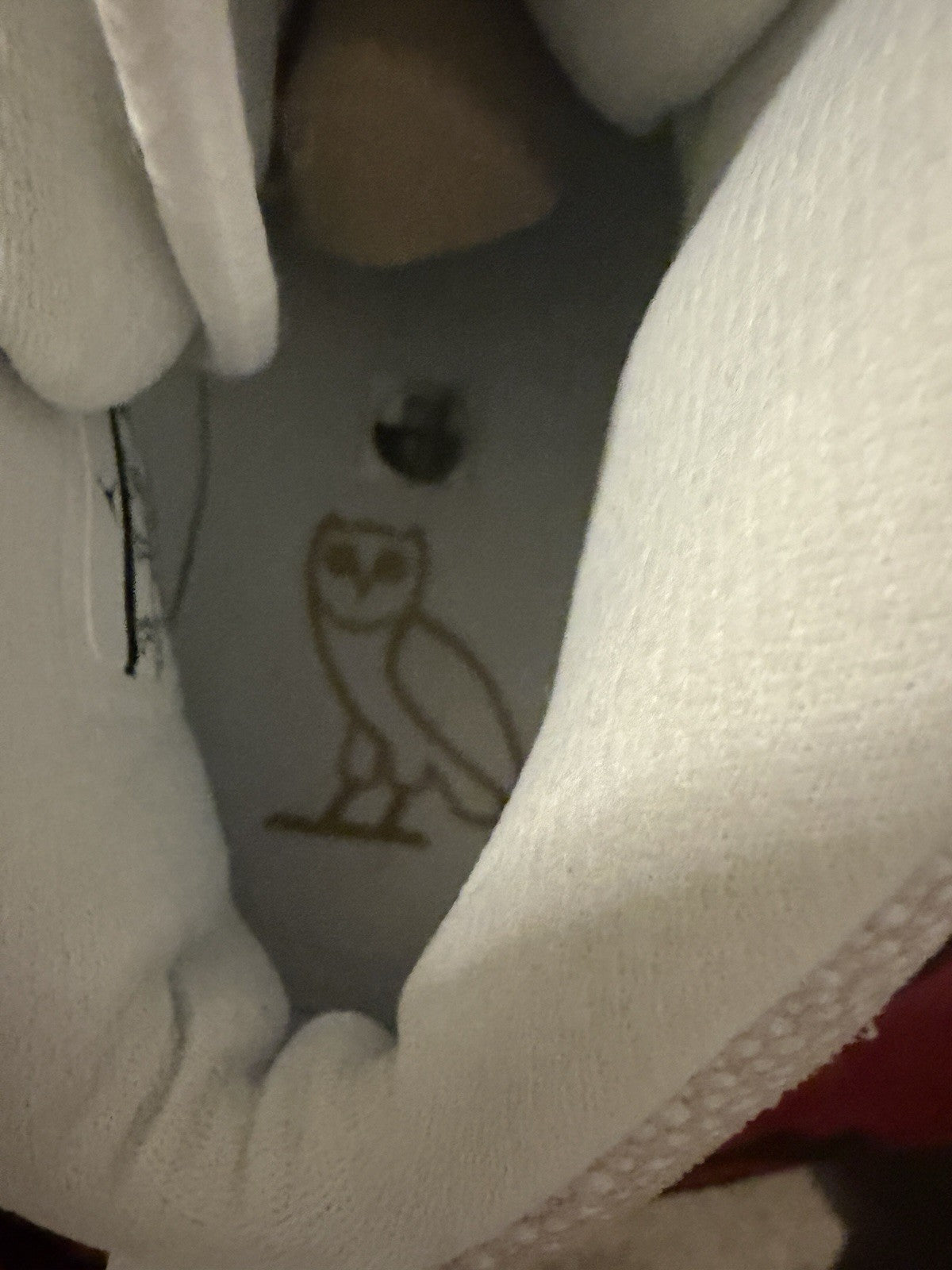 Ovo Size 12 - Jordan 10 - product photo shown in the listing for this item.