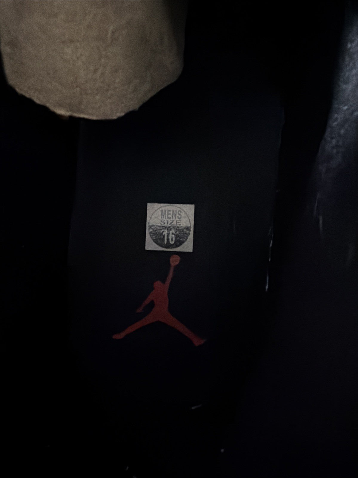Flu Game (2016) Player Exclusive. Only 1 Of 24 Pairs - Jordan 12 Retro - product image from the listing.