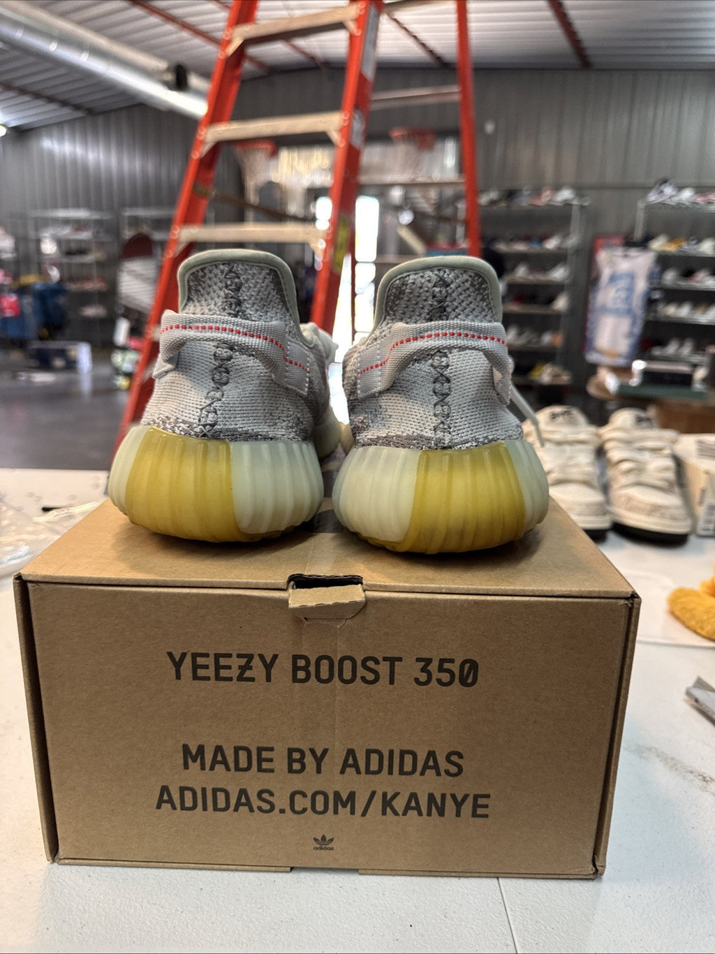 Adidas Yeezy Boost 350 V2 Blue Tint - Size 10.5 - product image from the listing.
