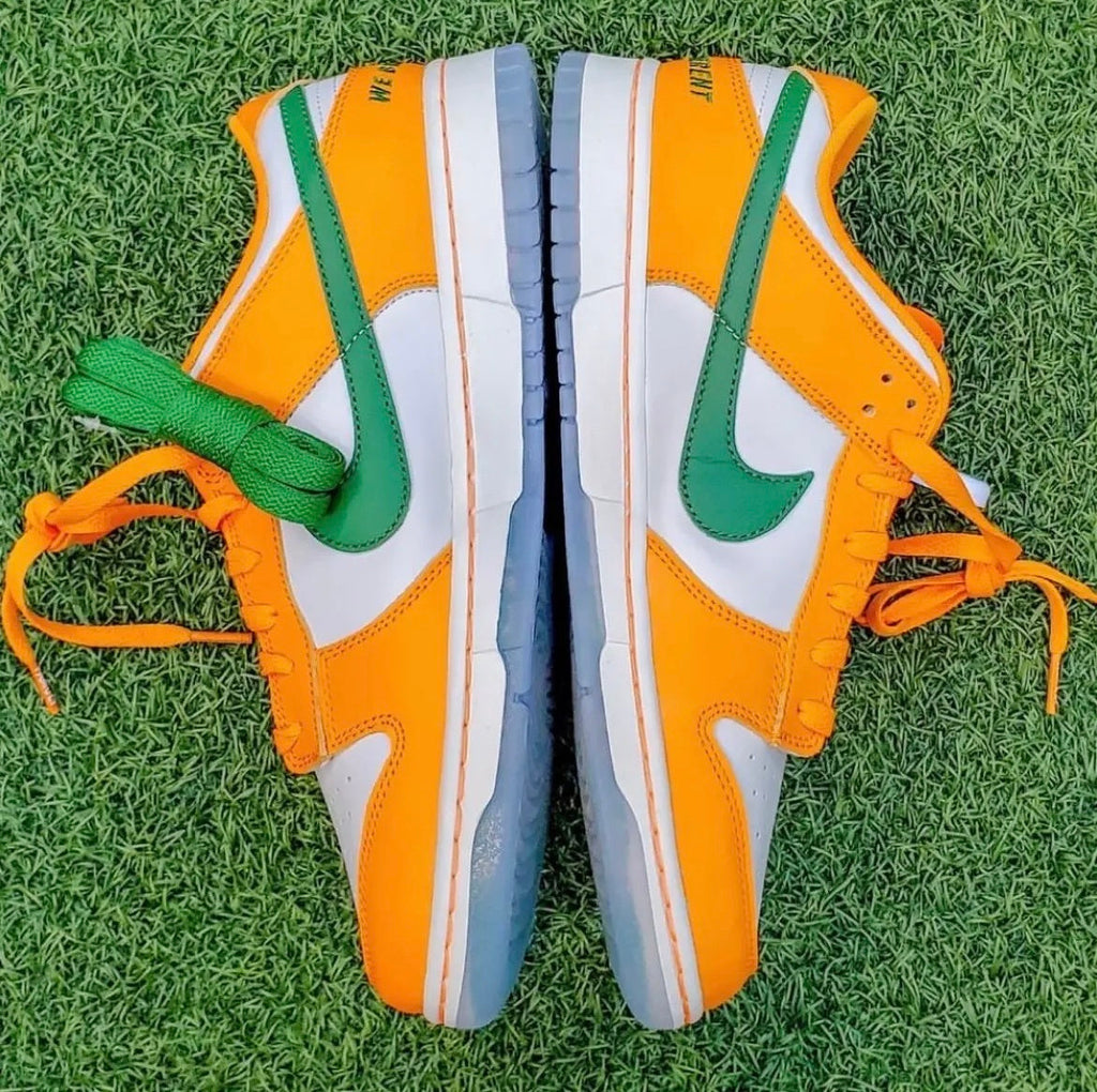 Nike Dunk Low Florida A&M in White Orange DR6188-800 - product image from the listing.