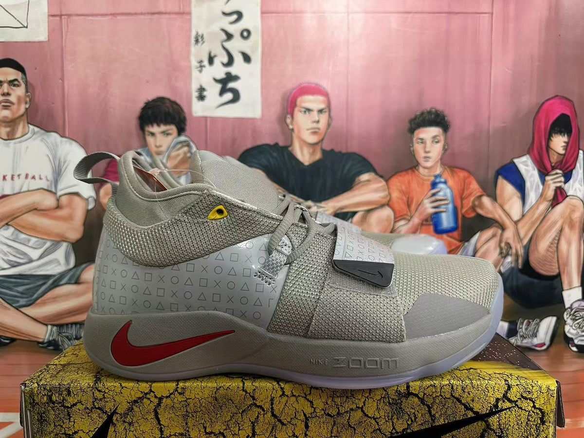 Grey Nike PG 2.5 Basketball Shoes - product image from the listing.