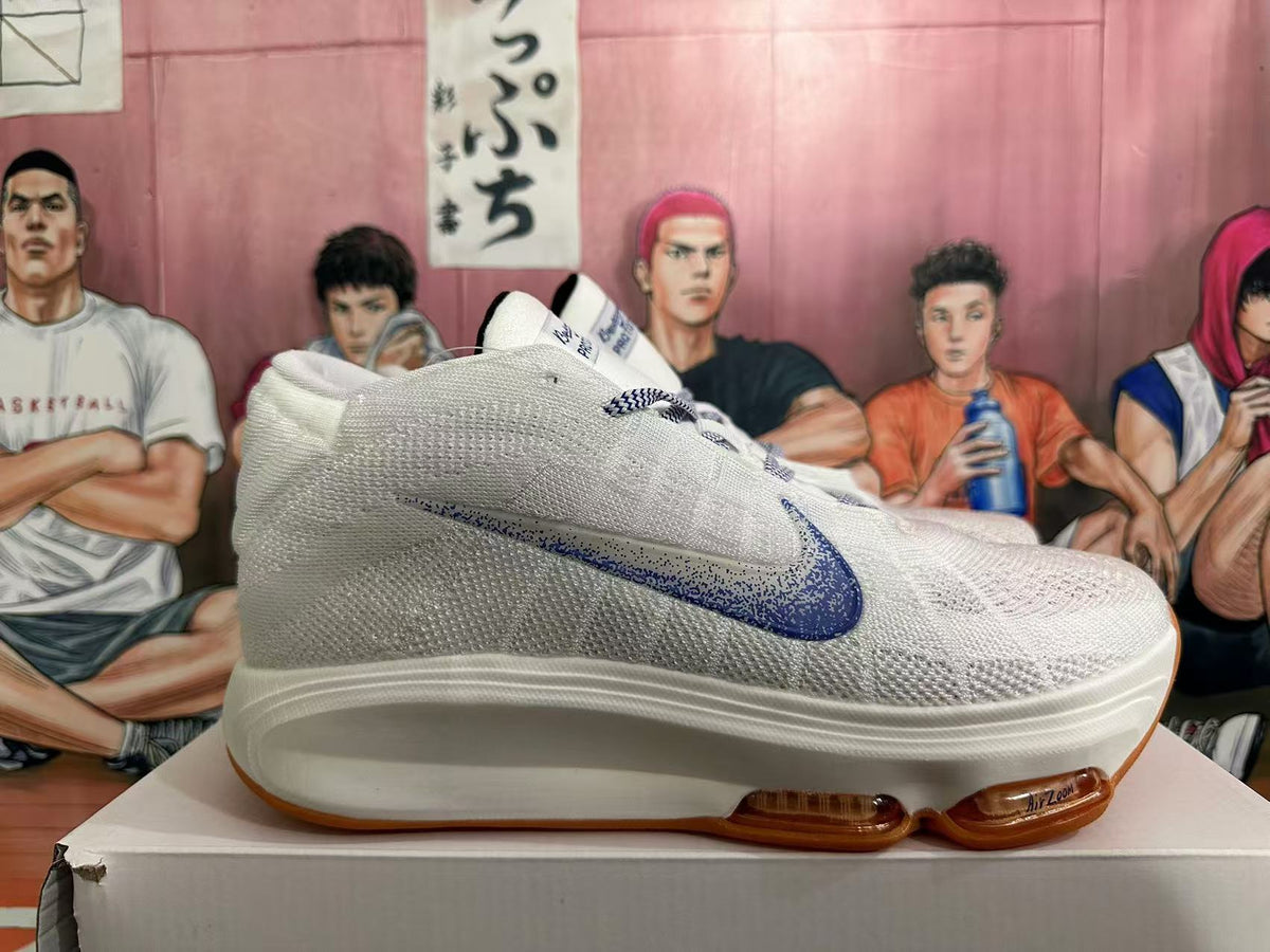 Nike Air Zoom Basketball Shoes in White Blue - product image from the listing.