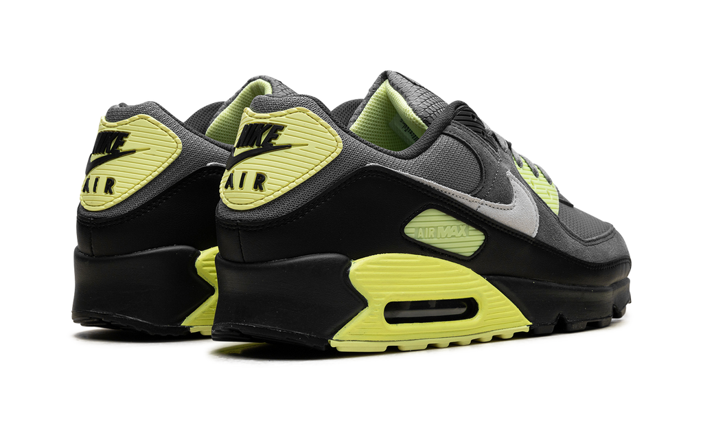 "Smoke Grey Light Lemon Twist" Air Max 90 DM0029 012 - product image from the listing.