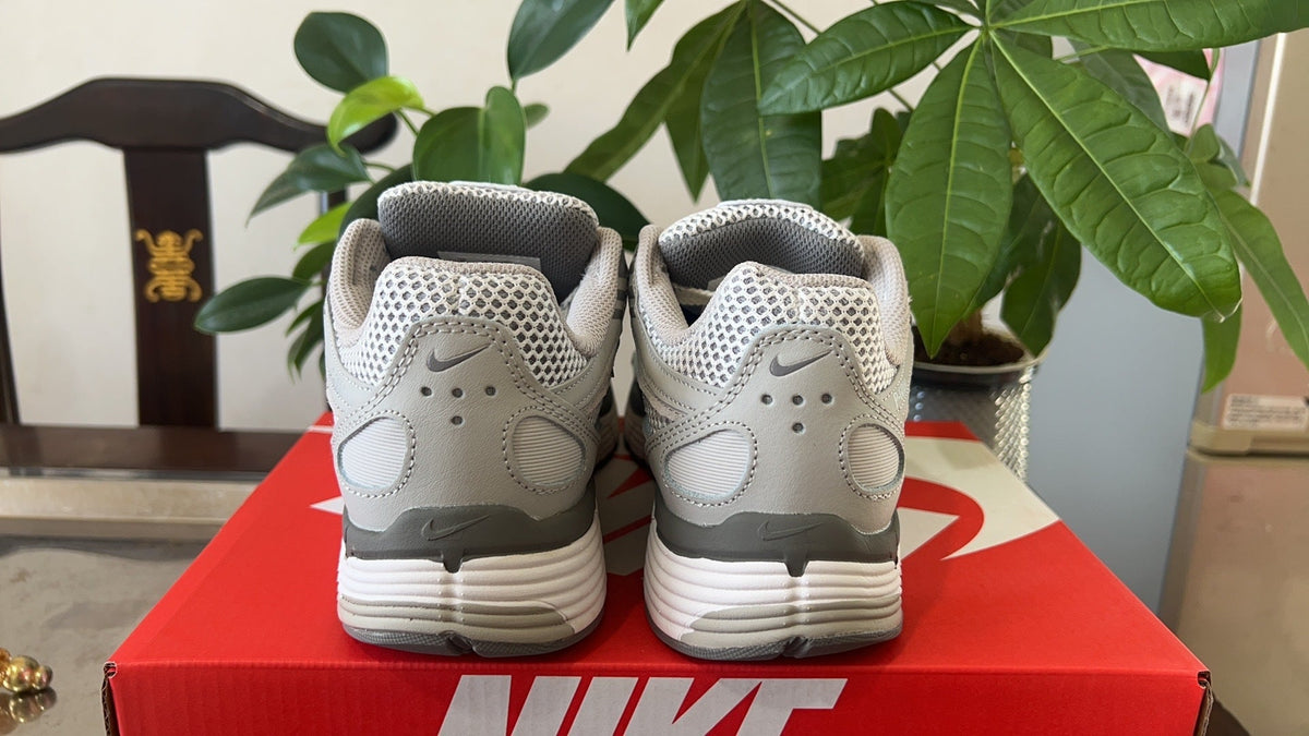Nike P-6000 Sneakers in Light Grey FN6837-012 - product image from the listing.