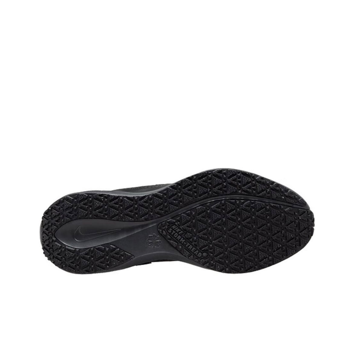 Nike Pegasus 41 GORE-TEX Running Shoes in Black FQ1356-001 - product image from the listing.