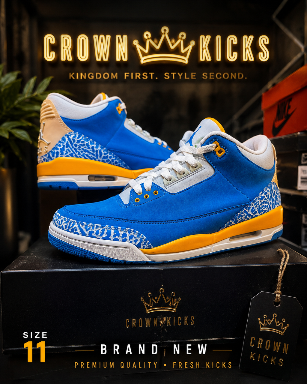 "Do the Right Thing" Jordan 3 Size 11 - product image from the listing.