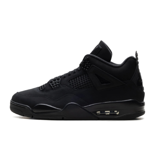 "Black Cat 2025" Air Jordan 4 - product image from the listing.