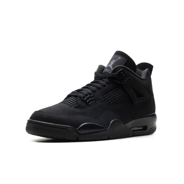 "Black Cat 2025" Air Jordan 4 - product image from the listing.