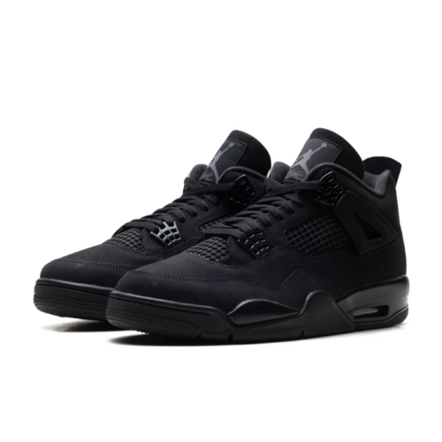 "Black Cat 2025" Air Jordan 4 - product image from the listing.