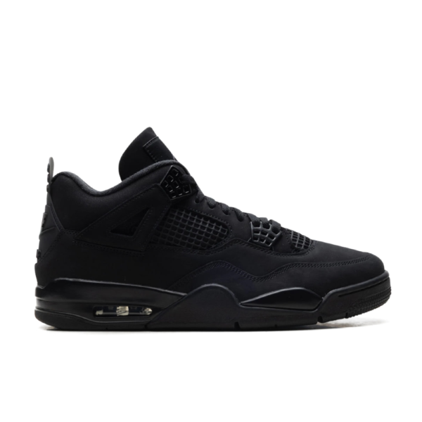 "Black Cat 2025" Air Jordan 4 - product image from the listing.