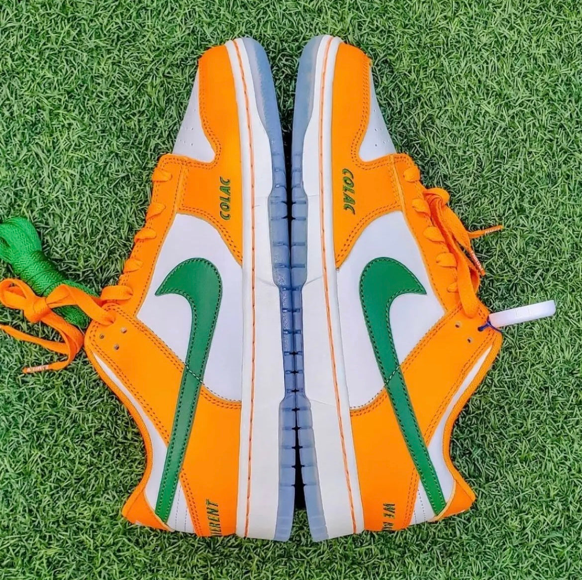 Nike Dunk Low Florida A&M in White Orange DR6188-800 - product image from the listing.