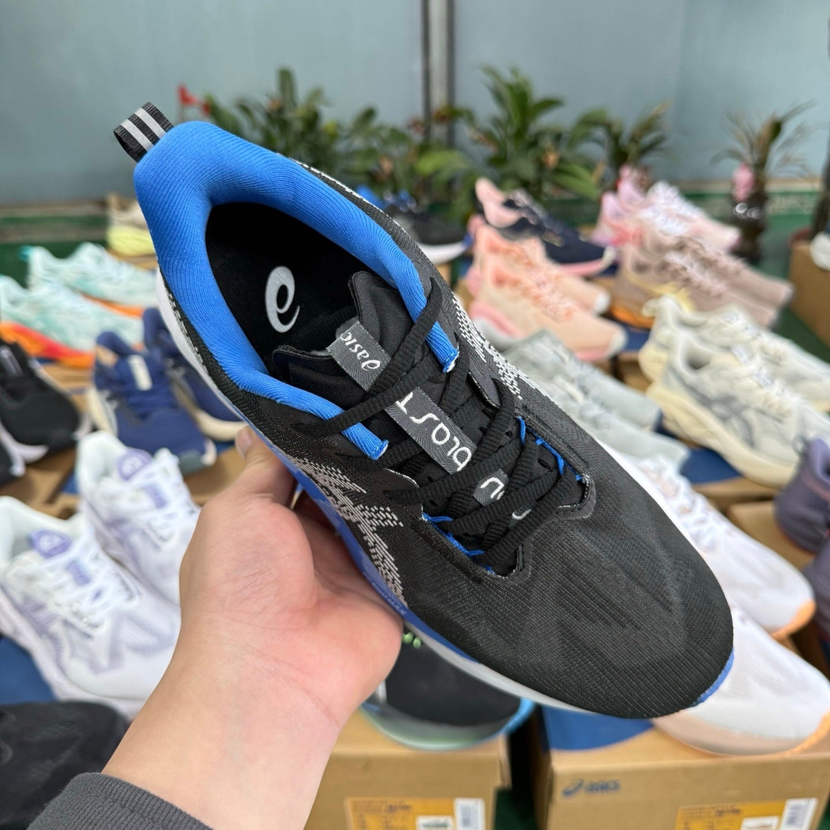 ASICS Novablast 5 LE Running Shoes in Black Blue - product image from the listing.