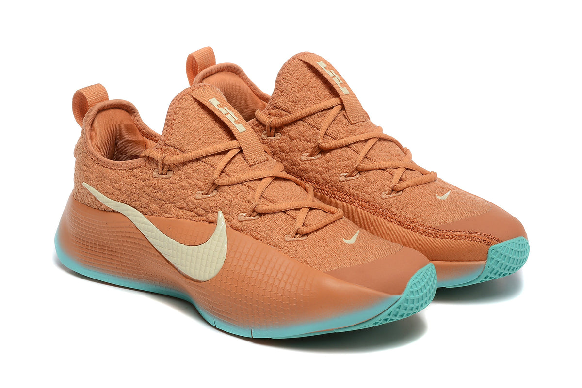Nike LeBron Training Shoes in Rust and in Teal - product image from the listing.