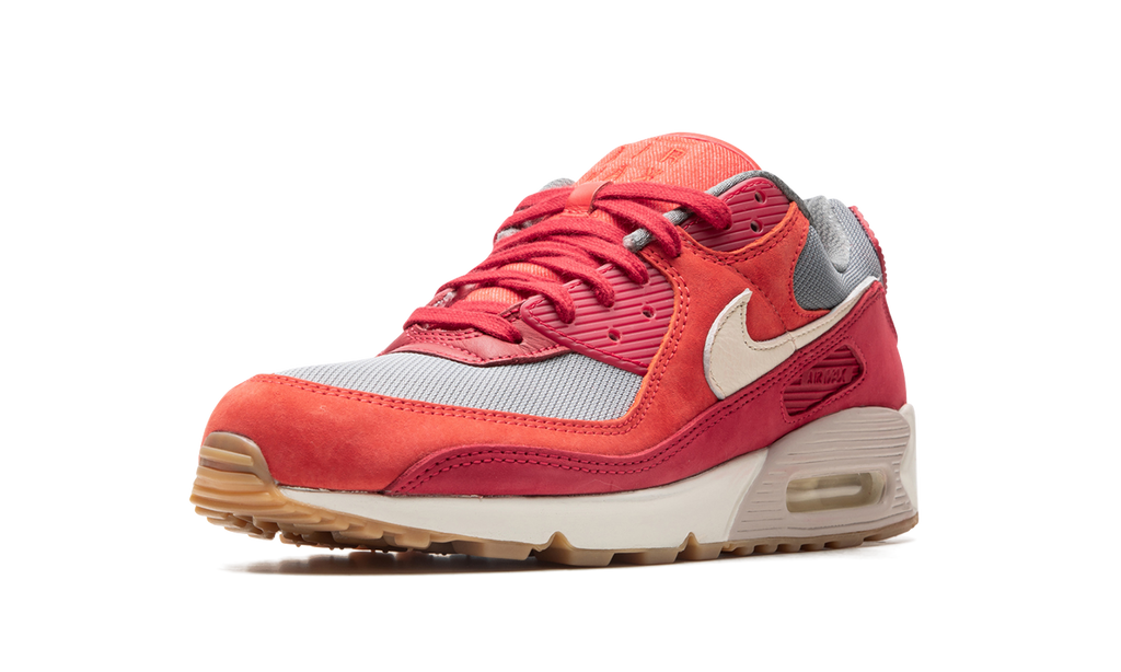 "Gym Red" Air Max 90 PRM DH4621 600 - product image from the listing.