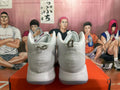 Nike Zoom Basketball Shoes in White and Silver - product image from the listing.