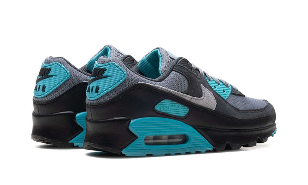 "Dusty Cactus" Air Max 90 DM0029 013 - product image from the listing.