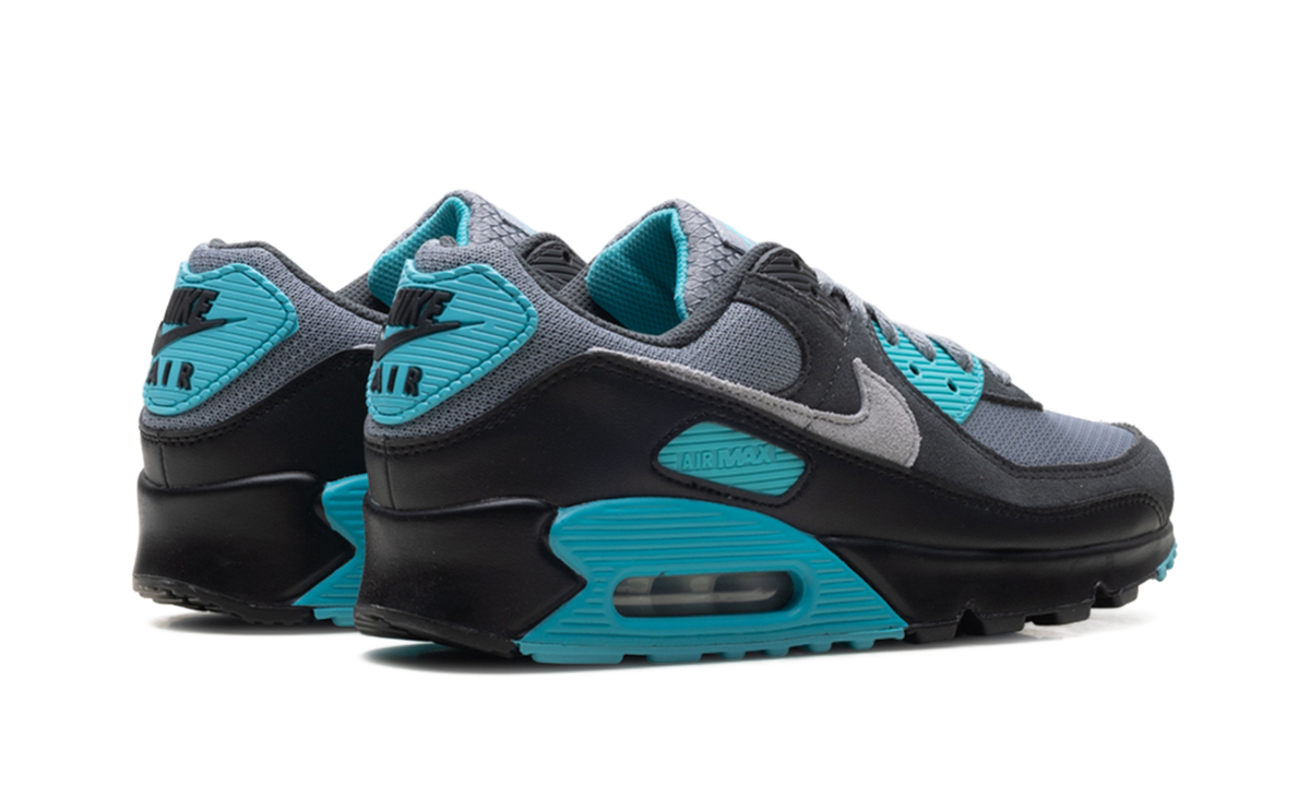 "Dusty Cactus" Air Max 90 DM0029 013 - product image from the listing.