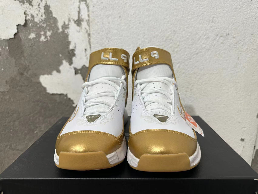 Nike Zoom 2K5 Basketball Shoes in White and Metallic Gold - product image from the listing.