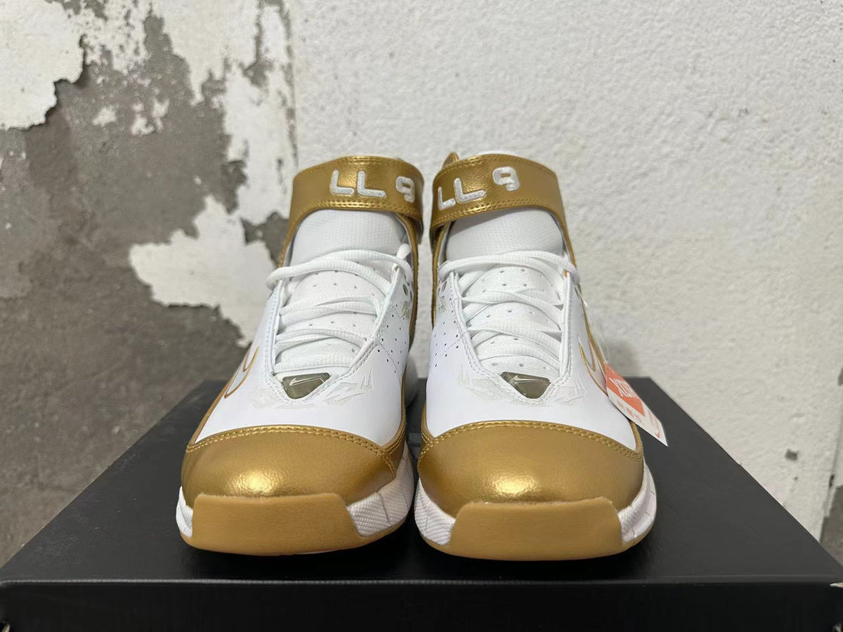 Nike Zoom 2K5 Basketball Shoes in White and Metallic Gold - product image from the listing.