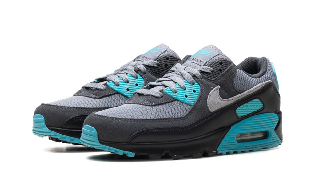"Dusty Cactus" Air Max 90 DM0029 013 - product image from the listing.