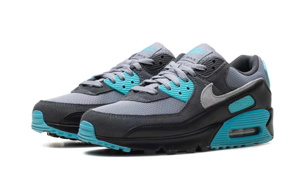 "Dusty Cactus" Air Max 90 DM0029 013 - product image from the listing.