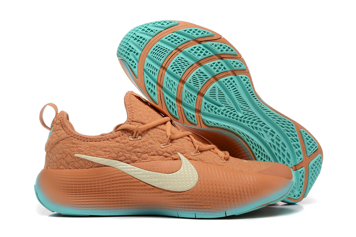 Nike LeBron Training Shoes in Rust and in Teal - product image from the listing.
