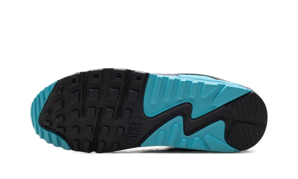 "Dusty Cactus" Air Max 90 DM0029 013 - product image from the listing.