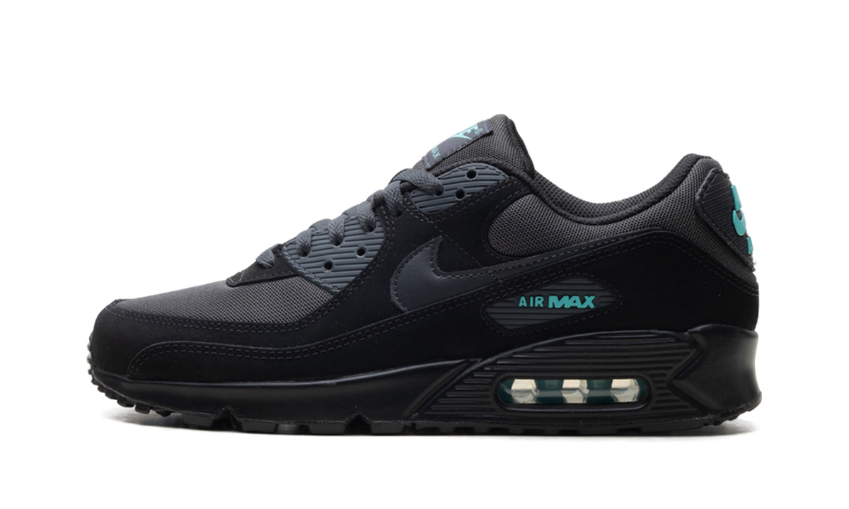 "Black Tiffany" Air Max 90 HV6224 001 - product image from the listing.