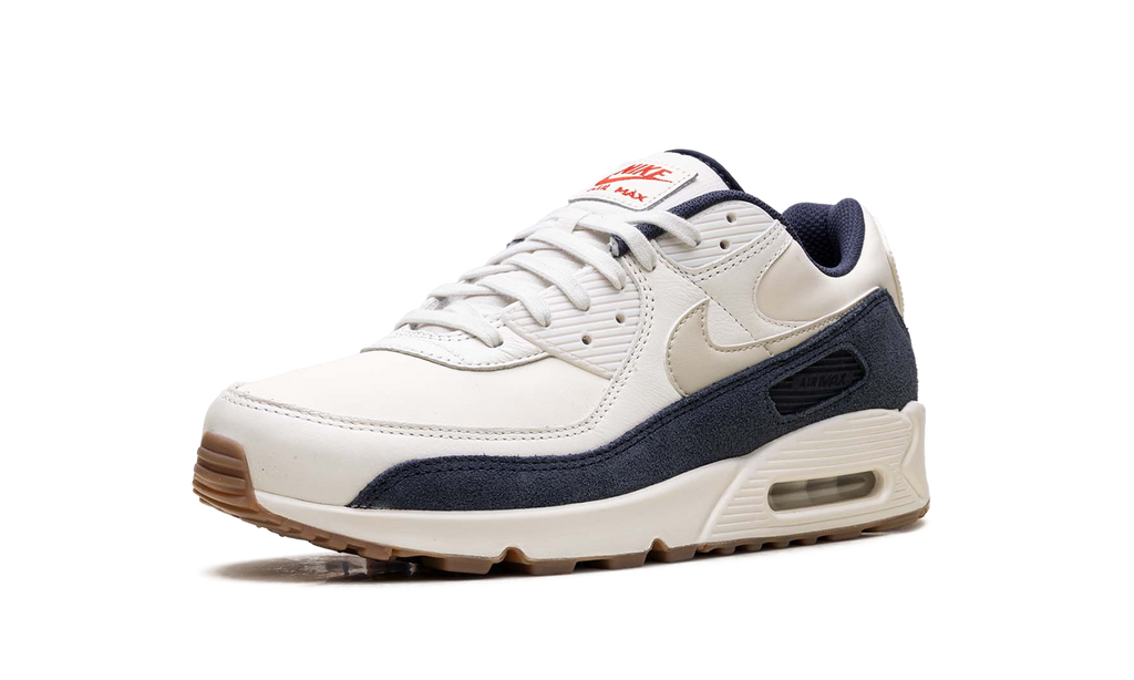 "Rare Air - Pale Ivory" Air Max 90 IH4379 110 - product image from the listing.