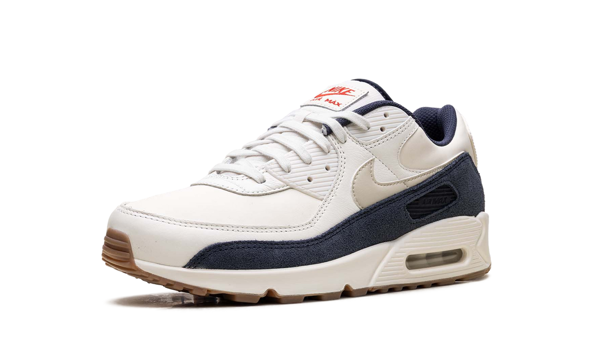 "Rare Air - Pale Ivory" Air Max 90 IH4379 110 - product image from the listing.