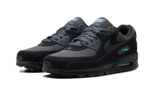 "Black Tiffany" Air Max 90 HV6224 001 - product image from the listing.