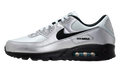 "Scorpion" Air Max 90 Premium IV5974 001 - product image from the listing.