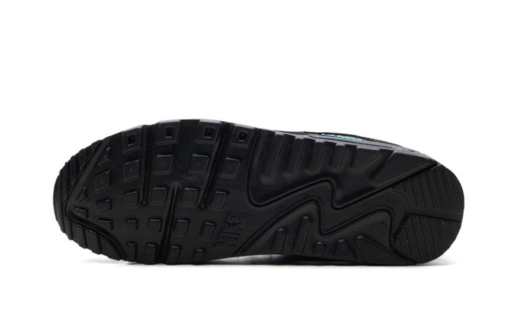 "Black Tiffany" Air Max 90 HV6224 001 - product image from the listing.