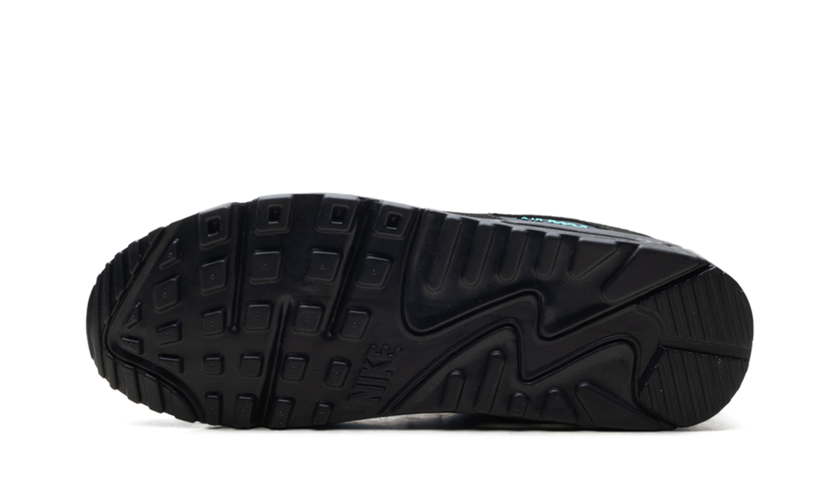 "Black Tiffany" Air Max 90 HV6224 001 - product image from the listing.
