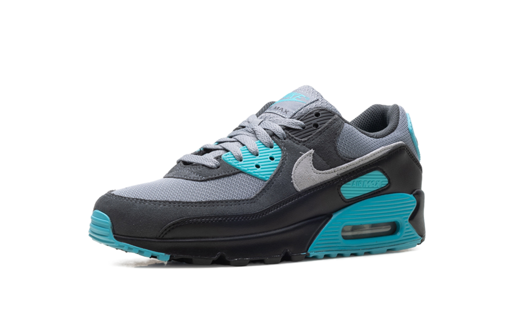 "Dusty Cactus" Air Max 90 DM0029 013 - product image from the listing.